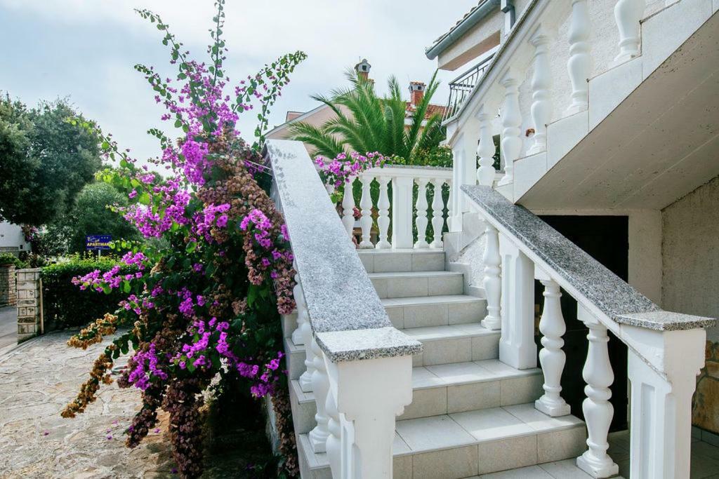Apartment Nada Petrcane Luaran gambar